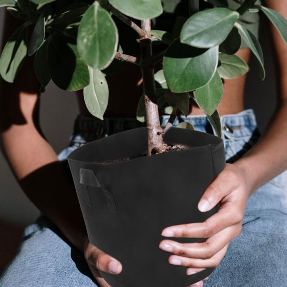 HOOWIFFY Black Non-Woven Fabric Plant Grow Bags 10 Gallon for Healthy Root Growth 2Pcs