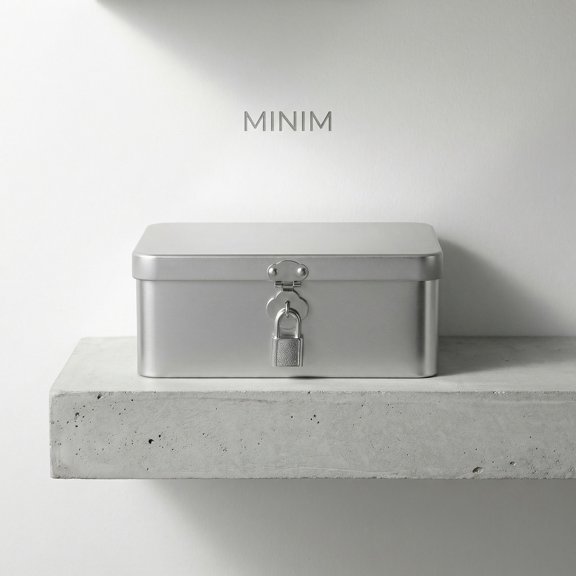 HOOWIFFY Silver Tinplate Rectangular Storage Box with Hinged Lid Compact Metal Organizer