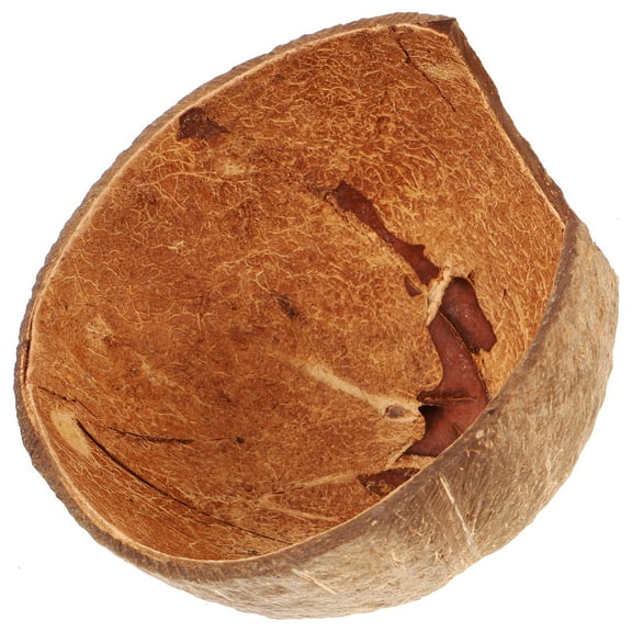 HOOWIFFY Snake Habitat Accessory 1Pack Coconut Shell for Reptile Tank Hideout 12X12X6.5In
