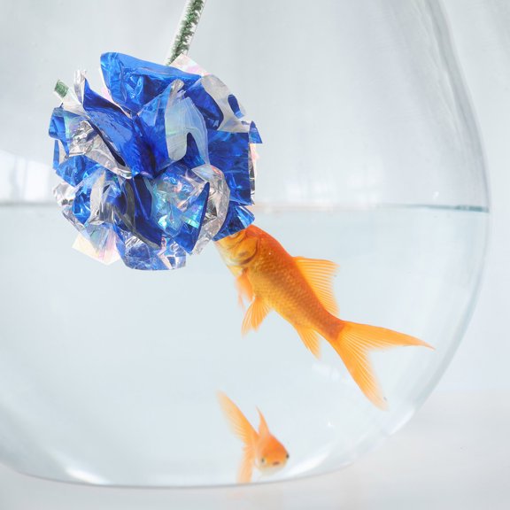 HOOWIFFY User Friendly Betta Fish Training Stick for Aquarium Tank Fish Interaction