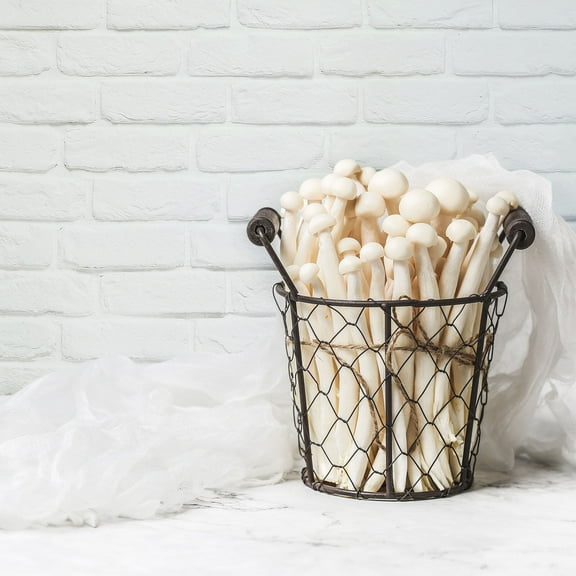 HOOWIFFY Copper Coated Photo Backdrop Paper for Vibrant Photography Scenes