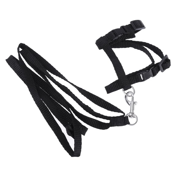 HOOWIFFY cat leads and harnesses Traction Rope Black Nylon pet 1Pcs
