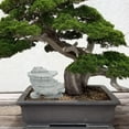 thumbnail image 1 of HORIALENCE 1Pack Bonsai Landscaping Stone for Terrarium Decoration Micro Landscape Accessory 3.1x2.8x2.4in, 1 of 8