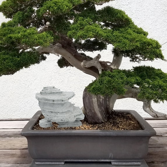 HORIALENCE 1Pack Bonsai Landscaping Stone for Terrarium Decoration Micro Landscape Accessory 3.1x2.8x2.4in