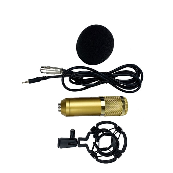 HORIALENCE 1Set High Sensitivity Low Noise Condenser Microphone for Audio Enthusiasts 15.5X6X3in