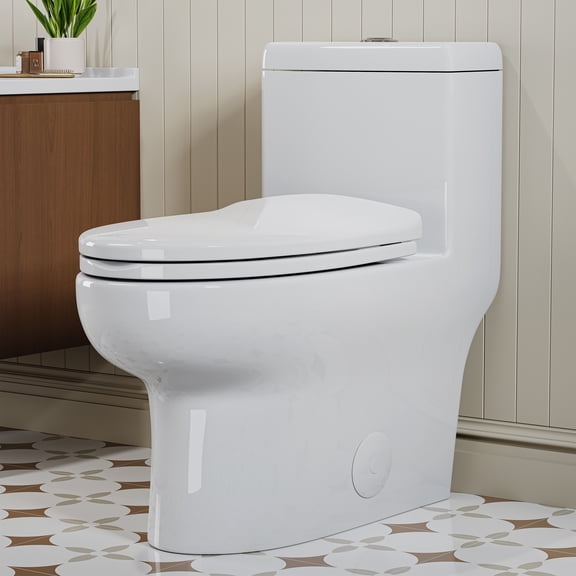HOROW One Piece Elongated Toilet with dual flush, 1.28 GPF, 12'' Rough-In with Soft Closing Seat