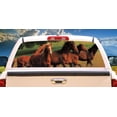 thumbnail image 1 of HORSES 3 16"x54" Rear Window Graphic compact pickup truck back tint view thru vinyl, 1 of 2