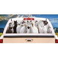 thumbnail image 1 of HORSES Rear Window Graphic horse scene tint decal view thru vinyl, 1 of 3