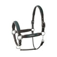 thumbnail image 1 of HORZE B Vertigo Evolve Leather Halter with Braided Accents, 1 of 7