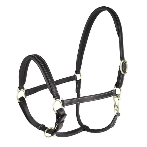 HORZE  Largo Leather Halter, Color: Black, Size: Pony (22136-BL-PONY)