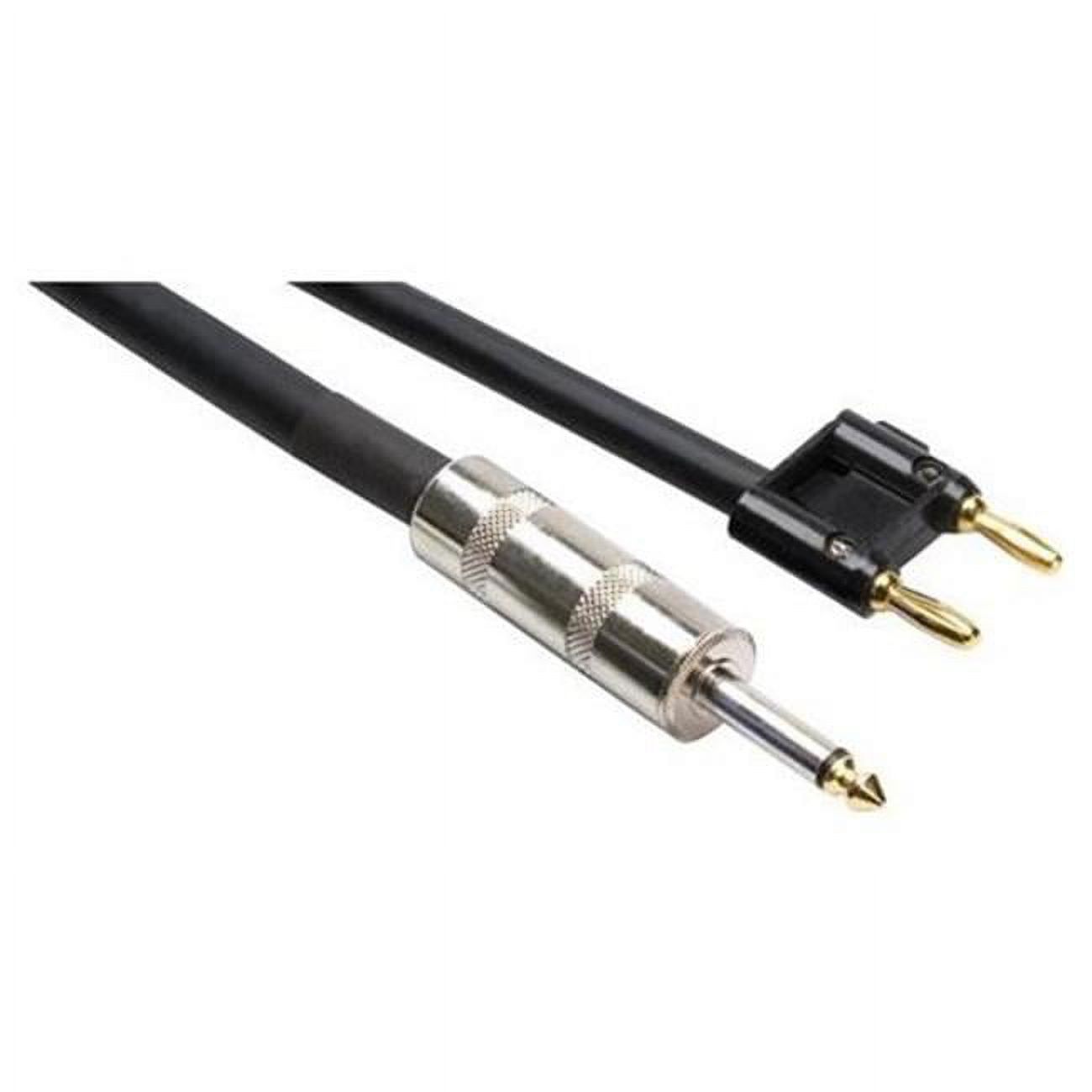 Speaker Cable  Hosa 1/4-in TS to Dual Banana  100 ft - image 1 of 3