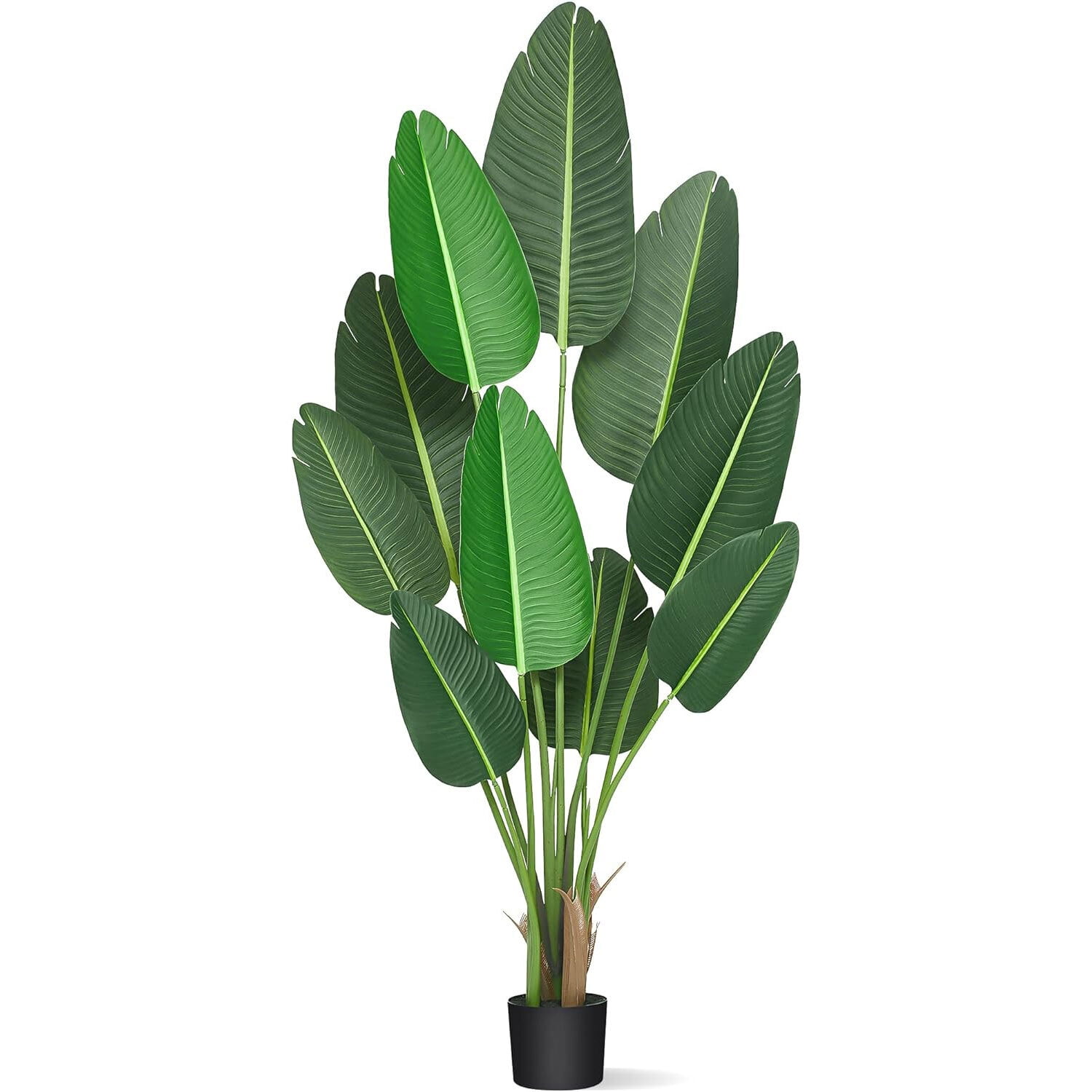 Indoor Green BIRDS OF PARADISE ARTIFICIAL PLANTS, For Decoration, Size: 1.8  Ft