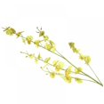 thumbnail image 1 of 1 Branches Artificial Orchid Faux Flowers Butterfly Orchid for Wedding Home Office Party Hotel Yard Decoration Restaurant Patio Festive Furnishing Wedding, 1 of 5