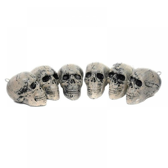 6 Pieces Halloween Skulls Realistic Looking Skulls Human Skeleton Head Skull Small Mini Skulls for Halloween Bar Home Table Decor Halloween Decor Props 3.9 x 5.5 Inch
