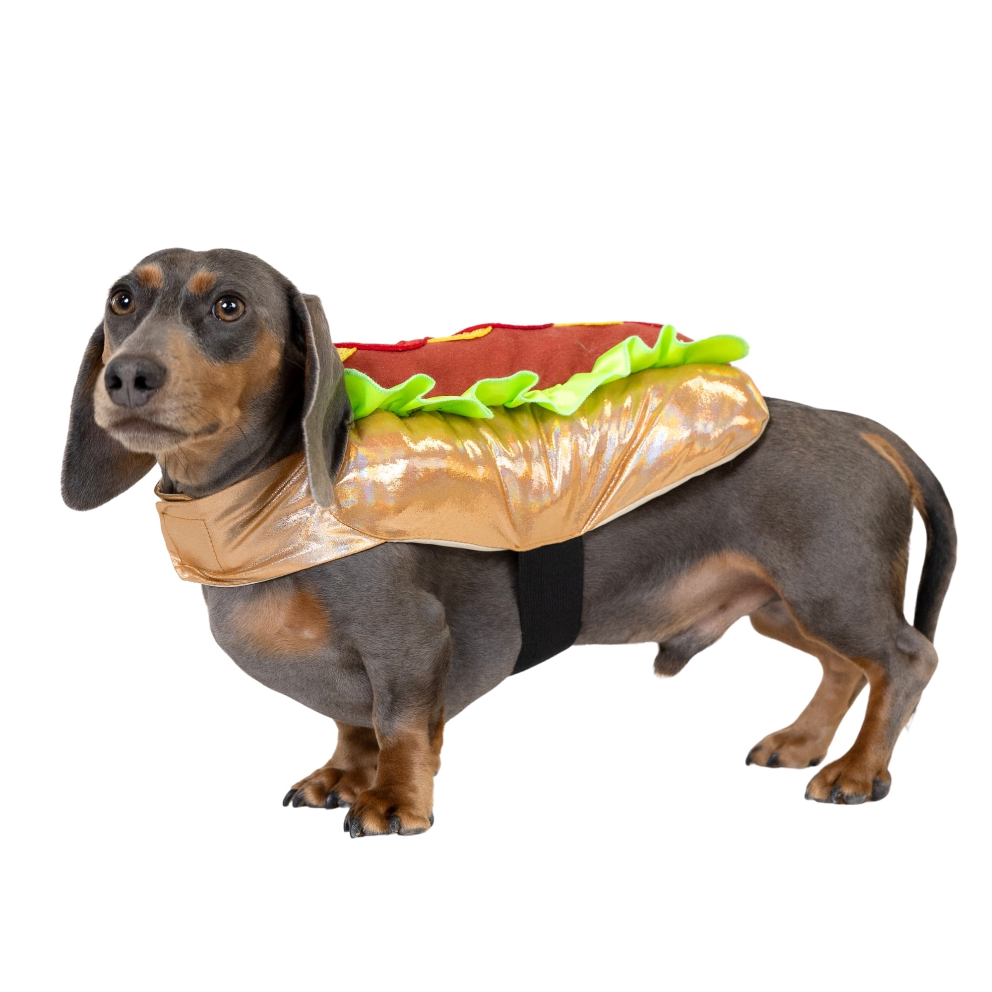 Vibrant Life Halloween Hot Dog Costume for Dogs & Cats, Multicolor ...