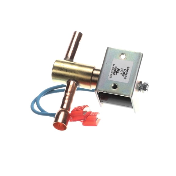 HOT GAS SOLENOID VALVE W/COIL 040008538 - Genuine OEM Replacement Part