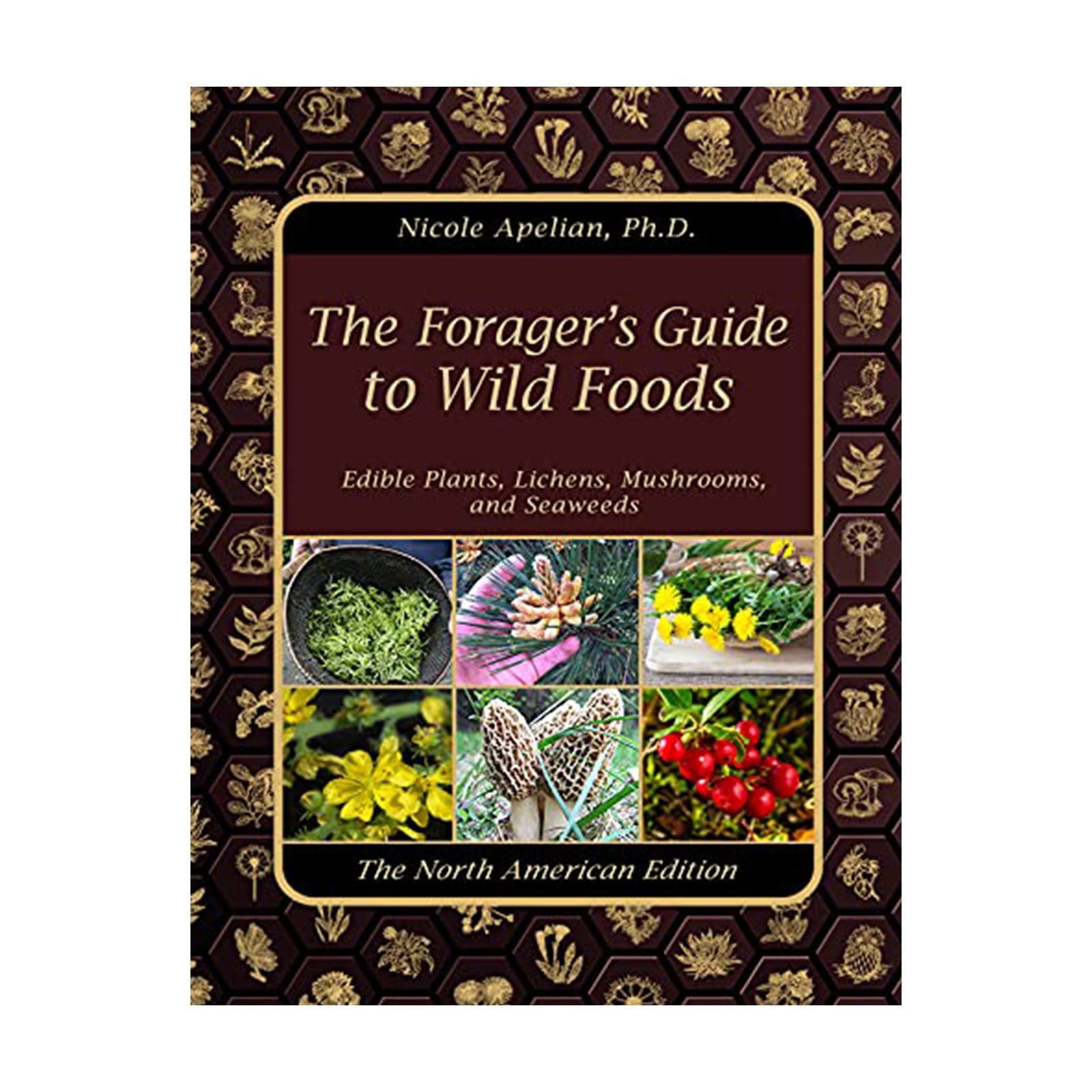 HOT Sale! The Foragers Guide to Wild Foods BOOK, Herbal Remedies Herbs
