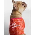 thumbnail image 1 of Hot Dog Summer By Megan Thee Stallion Little Hottie Dog T-shirt, Pink and Orange, Small, 1 of 5