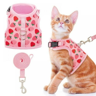 HOTWINTER Cat Harness with Leash Escape Proof - Fashionable Strawberry Mesh Cat Dog Walking Harness Leads, Adjustable for Kitties Puppies Small Animals