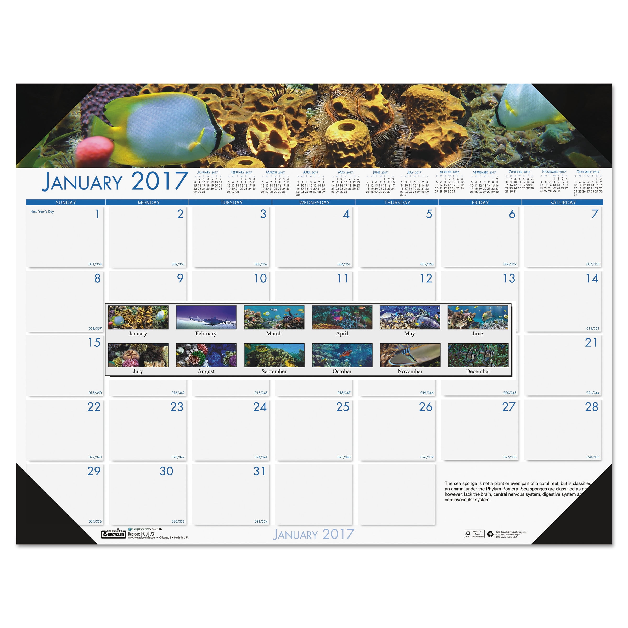 HOUSE OF DOOLITTLE Monthly Desk Calendar,22x17 In,Sea Life HOD193