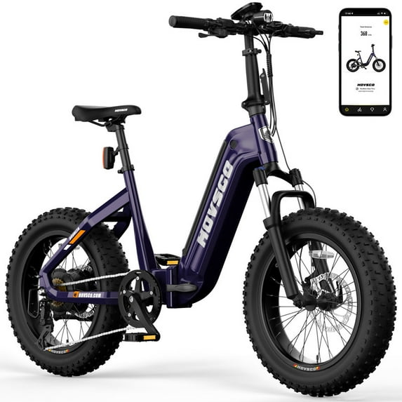 HOVSCO HovBeta 20" Foldable Fat Tire Electric Bike, 750W 48V 15Ah Electric Mountain Bike, UL2849, Dark Purple