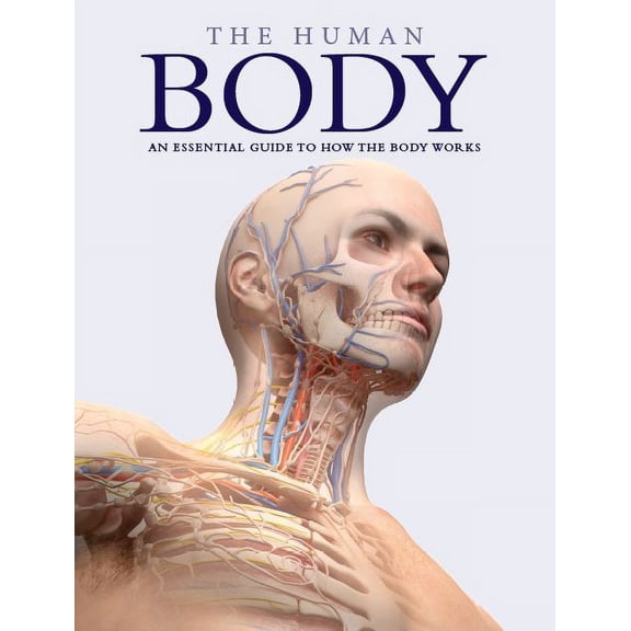 HOW THE BODY WORKS REV
