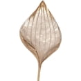 thumbnail image 1 of HOWARD ELLIOTT Wall Sculpture Aspen Leaf Medium Champagne Bronze Highlights, 1 of 3