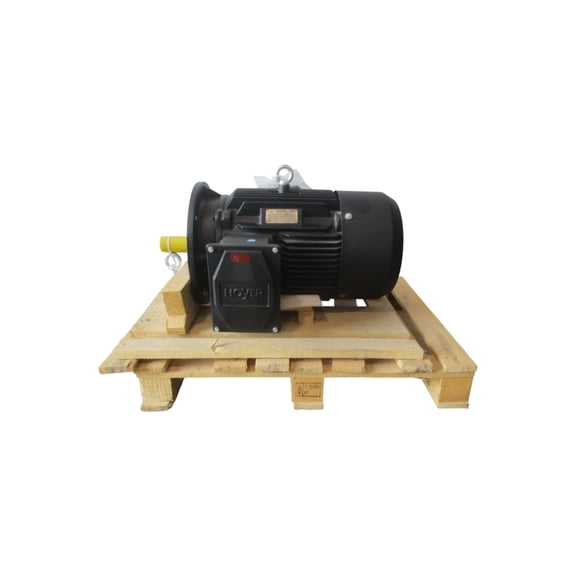 HOYER MOTORS HMC216014 400/690V 28/16.5A NSNP