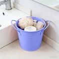 thumbnail image 1 of HOZVOMI Iron Double Ear Small Bucket Flowerpot for Desktop Storage and Study Desk Decoration, 1 of 6