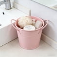 thumbnail image 1 of HOZVOMI Iron Double Ear Small Bucket Flowerpot for Desktop Storage and Study Desk Decoration, 1 of 6