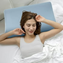 HOZVOMI Waterproof Pillowcase, Antibacterial Memory Foam Pillow Cover, 15.74x23.62in, Breathable & Hypoallergenic, Light Blue