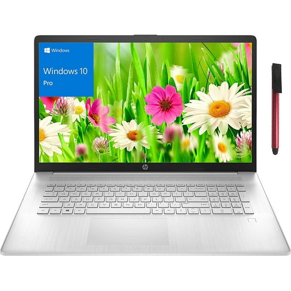 HP 17 17.3" FHD Windows 10 Pro Business Laptop Computer, Hexa-Core AMD Ryzen 5 5500U up to 4.0GHz (Beat i5-1135G7), 16GB DDR4 RAM,256GB PCIe SSD, AC WiFi, Fingerprint Reader, USB PEN
