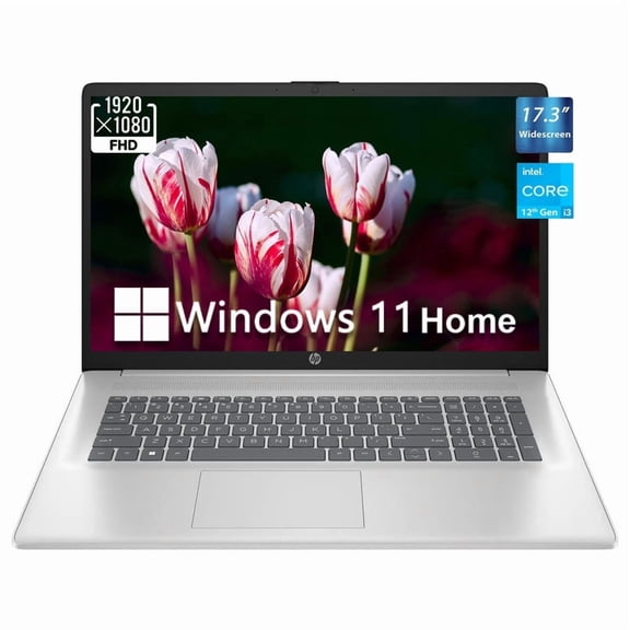 HP 17.3" Business Laptop,FHD IPS Display,Intel Core i3 1215U Processor,16GB RAM,512GB SSD,Intel UHD Graphics,Anti-Glare,HD Camera,Wi-Fi,Windows 11 Home,Silver