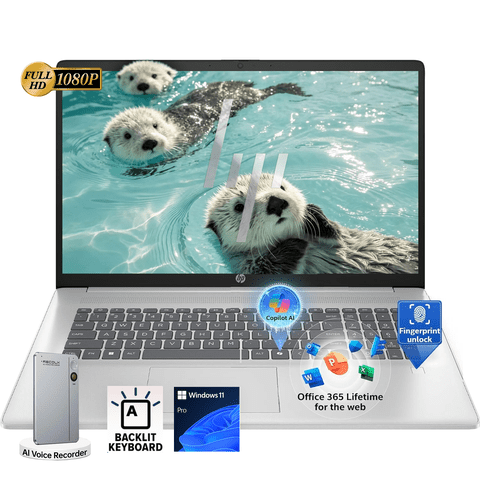 HP 17.3" FHD Business Laptop, Intel Core i5-1334U, 8GB RAM, 256GB SSD, Windows 11 Pro, Backlit Keyboard, Fingerprint Reader, with AI Voice Recorder