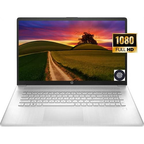 HP 17.3'' FHD IPS Display Business Laptop, AMD Ryzen 5 5500U Processor, Windows 10 Pro, 16GB RAM, 1TB SSD, Fingerprint Reader, Wi-Fi, Bluetooth, Webcam, Natural Silver