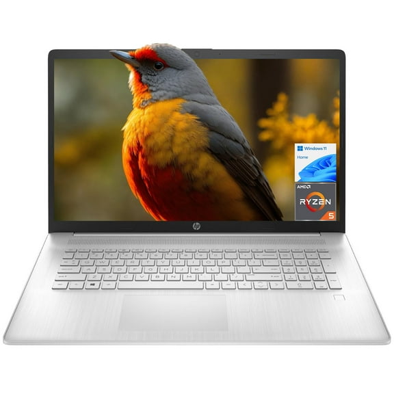 HP 17.3"" FHD Laptop, 16GB RAM, 512GB PCIe SSD, AMD Ryzen 5 5500U 6 Core CPU (Beat i7-1065G7), Fast Charge, Webcam, WiFi, Bluetooth, HDMI, Long Battery Life, Windows 11 Home, Silver