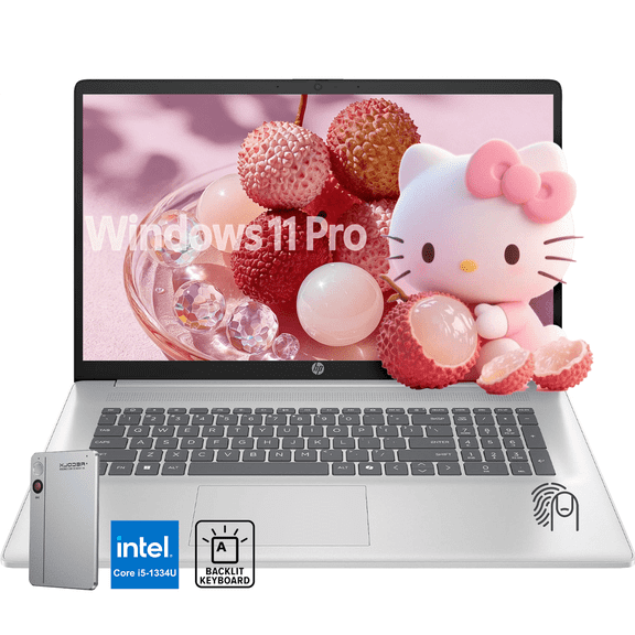 HP 17.3" Laptop, Intel i5-1334U, 16GB RAM, 1TB SSD, Windows 11 Pro, Backlit Keyboard, Fingerprint, with Accessory