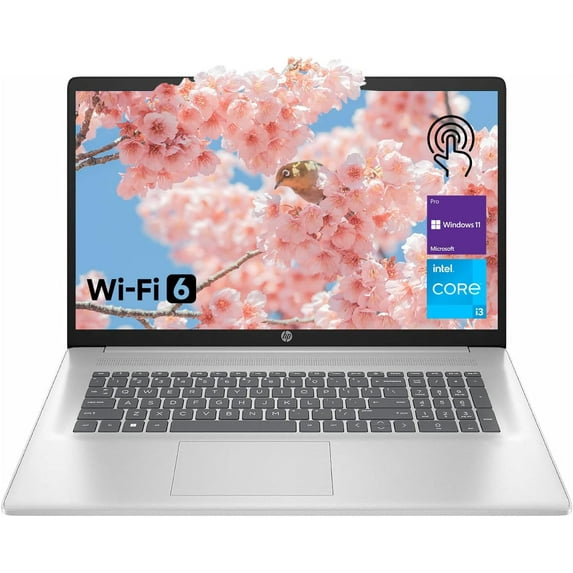 HP 17.3" Touchscreen Laptop, Intel Core i3, 32GB RAM, 2TB SSD,Webcam, Wi-Fi 6, Windows 11 Pro, Silver