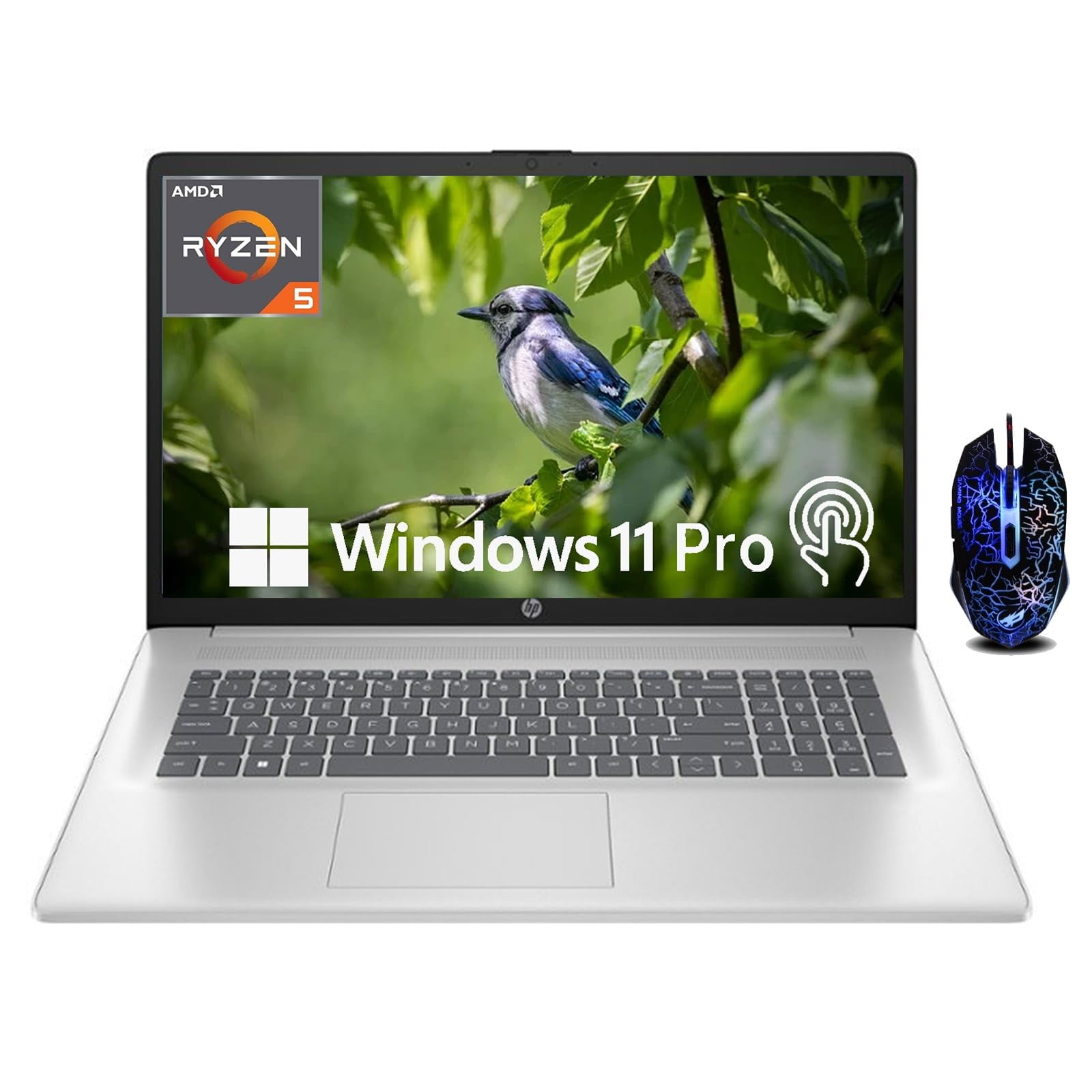 HP 17 Inch Business Laptop, 17.3