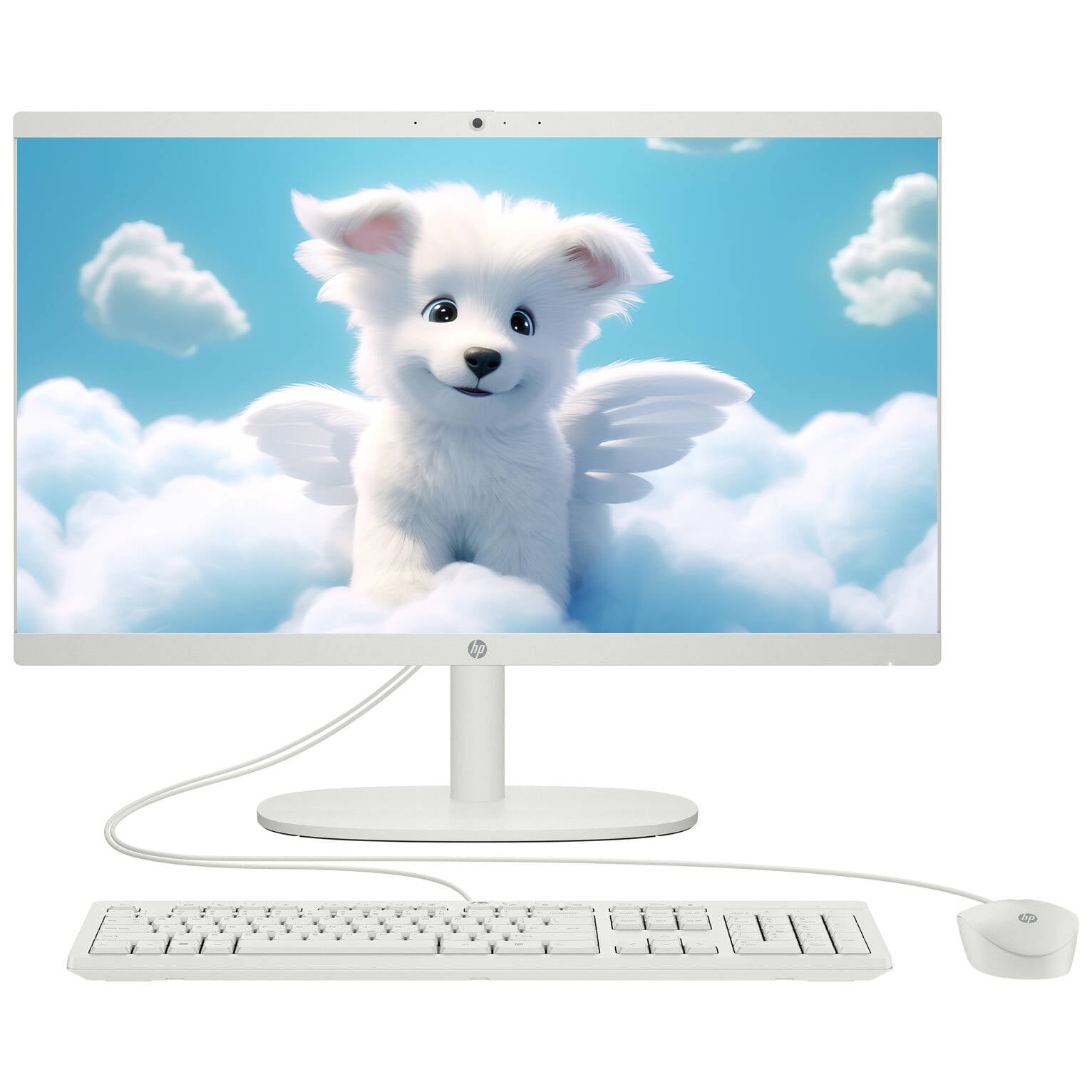HP 22 Inch All-in-One Desktop FHD Display Computer Intel