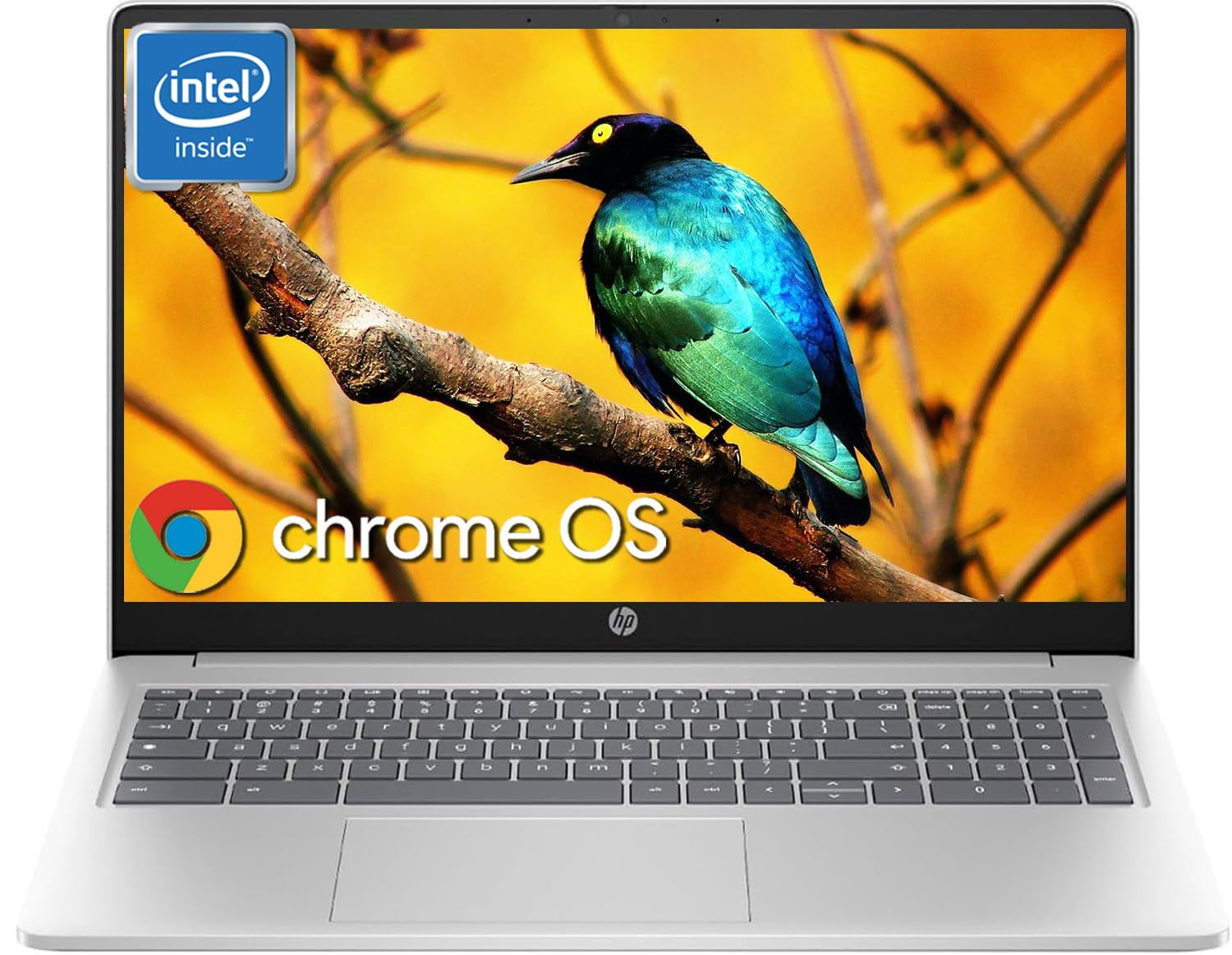 HP Chromebook Laptop for Student & Business, 15.6" HD Display, 8GB RAM, 64GB eMMC, Quad-Core Intel Pentium N200(Up to 3.7GHz), Long Battery Life, WiFi, UHD Graphics, Chrome OS