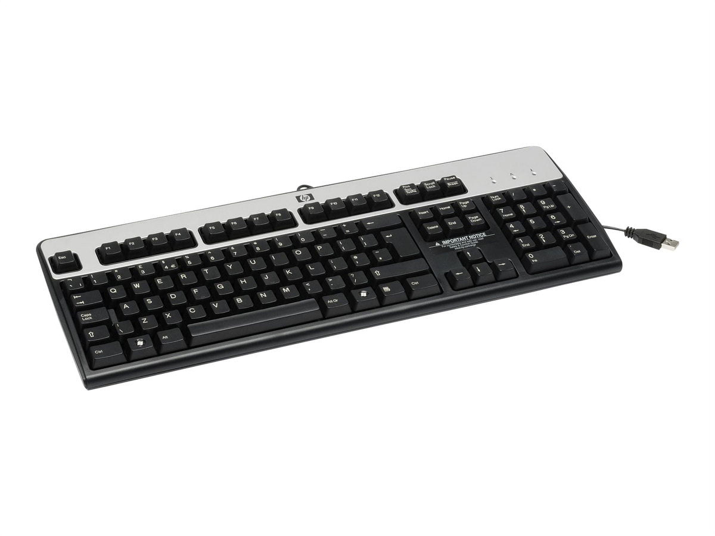 HP Standard Keyboard PS/2 US CTO
