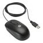 HP USB Optical Mouse - mouse