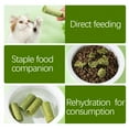 HPDL 10100x Cat Grass Sticks Pet Snacks Cat Food For Cats Of All Ages hpdl-10100x-cat-grass-sticks-pet-snacks-cat-food-for-cats-of-all-ages
