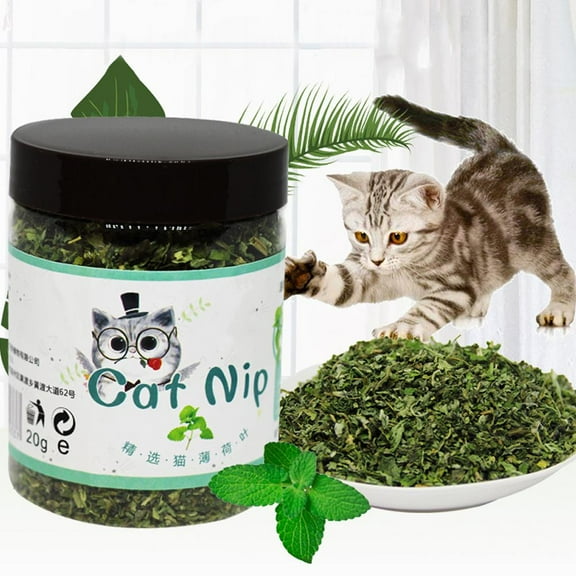 HPDL 20g Natural High Quality Catnip Cattle Grass Mint Taste Funny Cat Toy