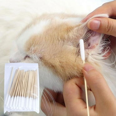 HPDL 50100 Dog Ear Cotton Buds 12cm Long Extra Large Pet Cleaning Bamboo Cleaner