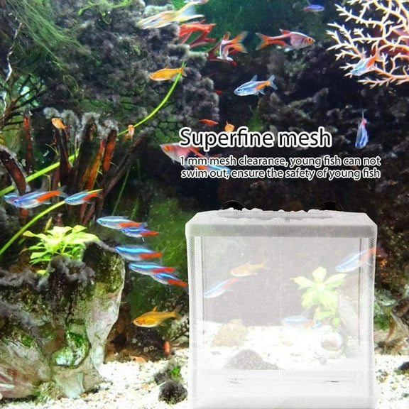 HPDL Fish Tank Breeder Net Large Fish Breeder Isolation Box Plast Hot T1