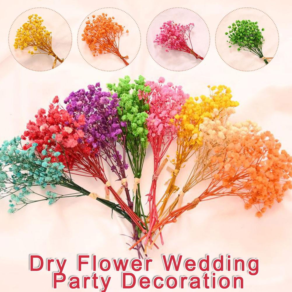 HPDL Natural Babysbreath Fresh Mini Babysbreath Dry Flowers Dried