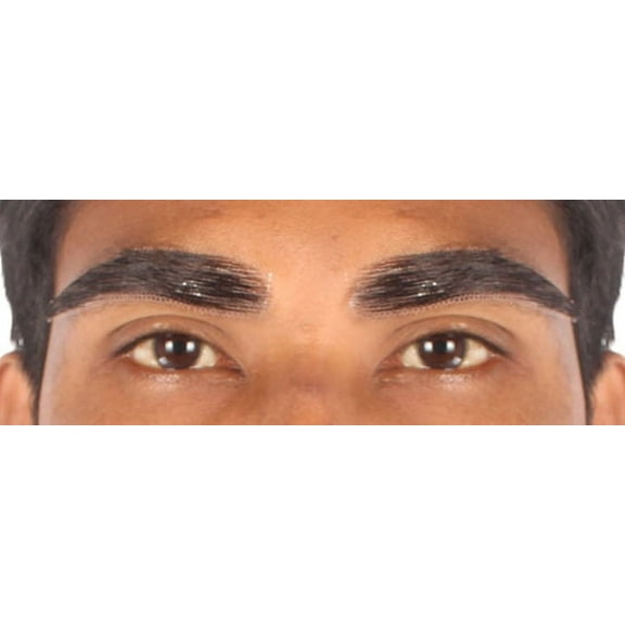 HPO Adult Men's Eyebrows Black Color Human Facial Hair Halloween Accessories.