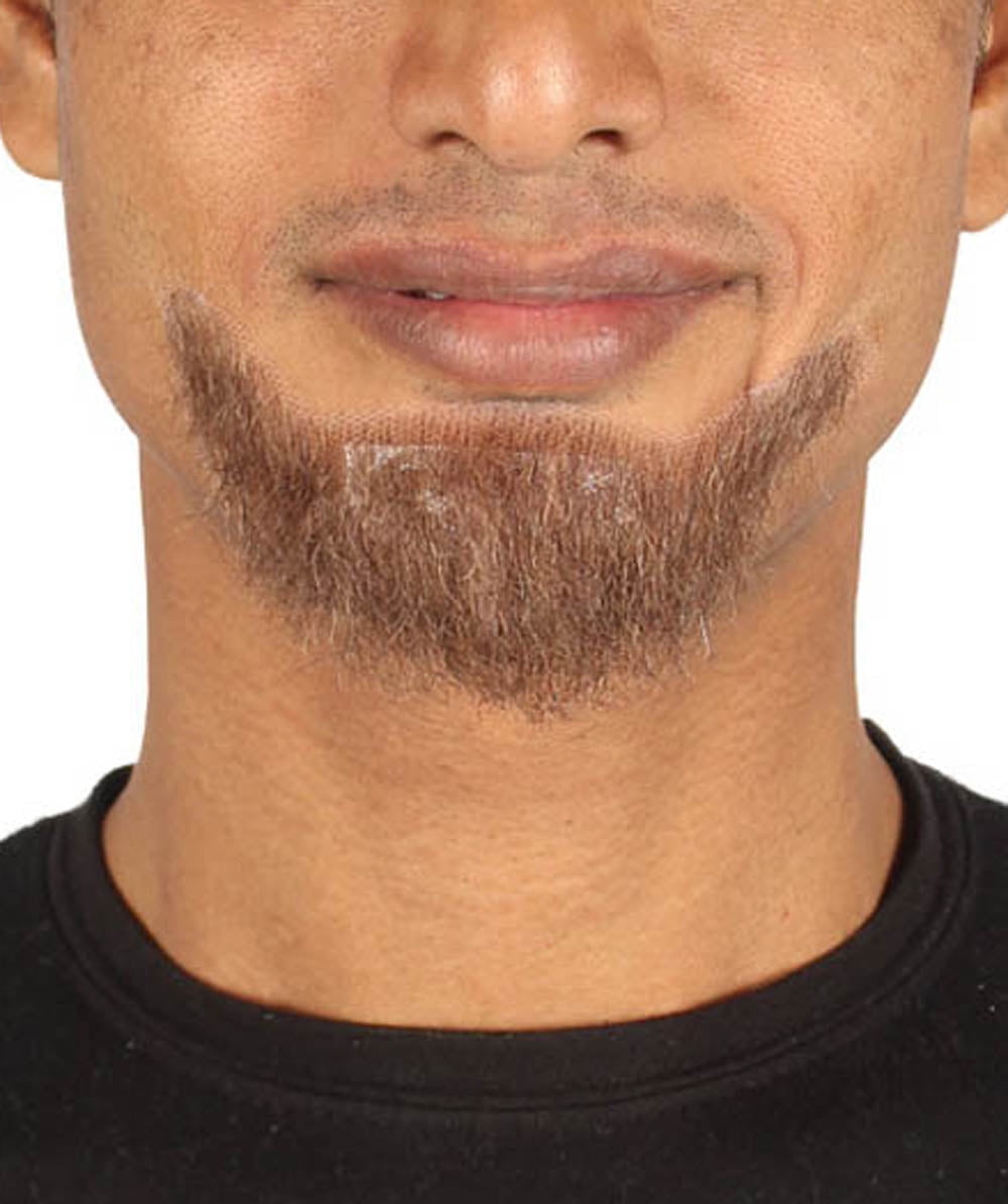 HPO Adult Men's Goatee Style Beard Brown Color Costume Facial Hair